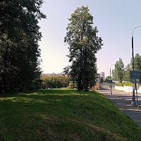 По пути в"Гудзон" :: Владимир Драгунский По пути в"Гудзон" :: Владимир Драгунский