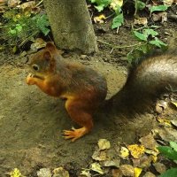 31.08 :: kolyeretka 31.08 :: kolyeretka