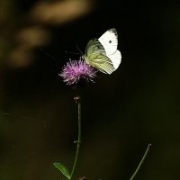 31.08 :: kolyeretka 31.08 :: kolyeretka