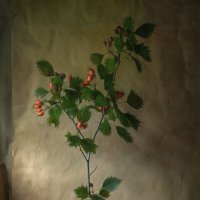 Боярышник. :: Oleg Rastorguev Боярышник. :: Oleg Rastorguev