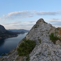 Природа Крыма :: Amazing Cosmea