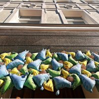 Котики - украшение города. :: Валерия Комова