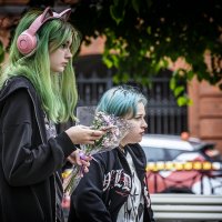 Малвины. :: Александр 