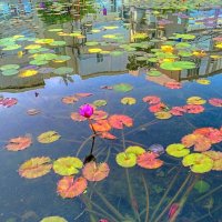 Лето кончилось :: Serg _