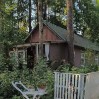 Переделкино :: Галина R...