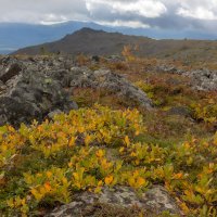 Прикосновение осени :: Евгений Тарасов 