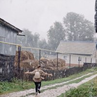 *** :: Борис Руднев