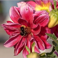 Летний вечер :: Aquarius - Сергей