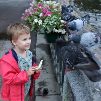 ... :: ВЛАДИМИР 