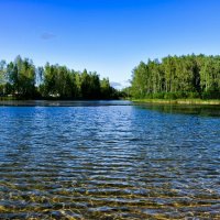 С золотым отливом озёрная вода. :: Милешкин Владимир Алексеевич 