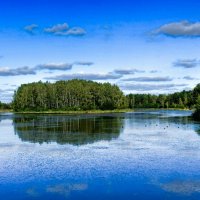 Про Смоленскую осень (репортаж из поездки по области). :: Милешкин Владимир Алексеевич Про Смоленскую осень (репортаж из поездки по области). :: Милешкин Владимир Алексеевич