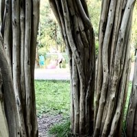 архилес :: Галина R... архилес :: Галина R...