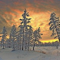 Утро Арктики :: Александр Велигура