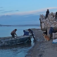 На отправке рыбы :: Александр Велигура