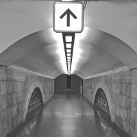 Черно-белая фотография :: Любимова Ольга 