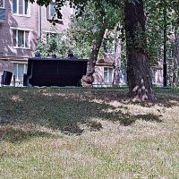 Пора сообразить... :: Владимир Драгунский