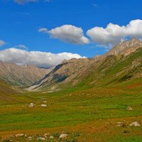 ПРИТОК ОЙГАИНГА. h- 2600м. :: Виктор Осипчук