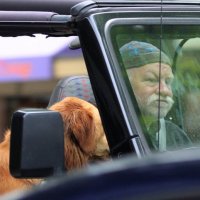 За приключениями... :: Sergey Krivtsov