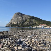 Природа Крыма :: Amazing Cosmea