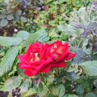 ,,,, :: Сергей Тимоновский