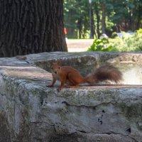 ___ :: Yuriy V ___ :: Yuriy V