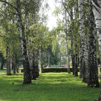 Мой город. :: Венера Чуйкова