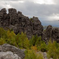 Осенняя птица :: Евгений Тарасов Осенняя птица :: Евгений Тарасов