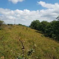 ПОХОД НА ЛАГО НАКИ :: Tata Wolf