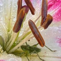 спрятался от дождя :: Galina спрятался от дождя :: Galina