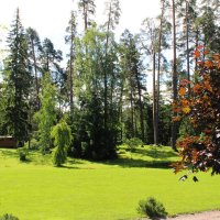 *** :: Любовь ***