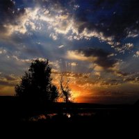 Первые лучи солнца... :: Надежда Куркина 