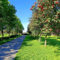 По аллее сентября... :: Мария Васильева