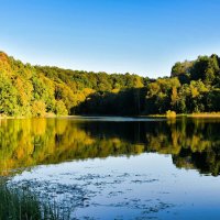 Зелёный цвет лета меняется на жёлтый (репортаж из поездки по области). :: Милешкин Владимир Алексеевич 