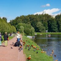 Лето в Царицыно :: Ольга 