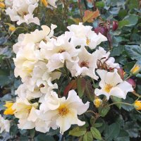 ,,, :: Сергей Тимоновский