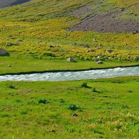 ПРИТОК ОЙГАИНГА. h- 2600м. :: Виктор Осипчук ПРИТОК ОЙГАИНГА. h- 2600м. :: Виктор Осипчук