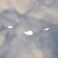 Назва. отсу. :: Денис Безногов Назва. отсу. :: Денис Безногов