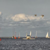 Про Питер :: Владимир Колесников