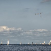 Про Питер :: Владимир Колесников