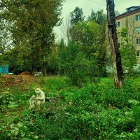 следы прошлой цивилизации :: Артём 