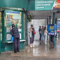 В укрытии :: Татьяна Машошина