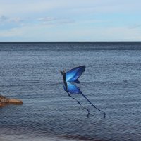 Мне бы в небо! :: Наталья Герасимова