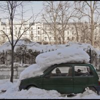 Весна :: **** vedin