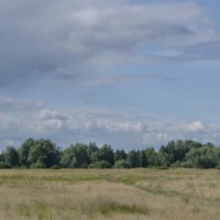 Вечерний пейзаж августа. :: сергей ермошкин