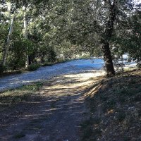 Свет и тень :: Юрий Гайворонскiий