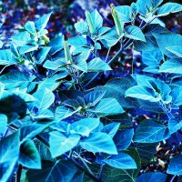 На улице :: Юрий Гайворонскiий