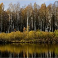 Осень во всей красе... :: Aleksandr Gal