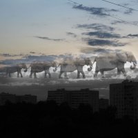 . :: РИТА ЛЕВКОВА