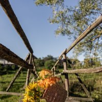 Упала :: sorovey Sol