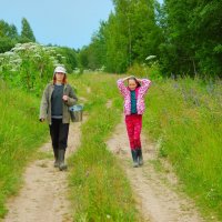 По ягоды :: Роман Д